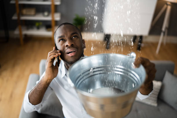Best Professional water damage repair  in Lead, SD