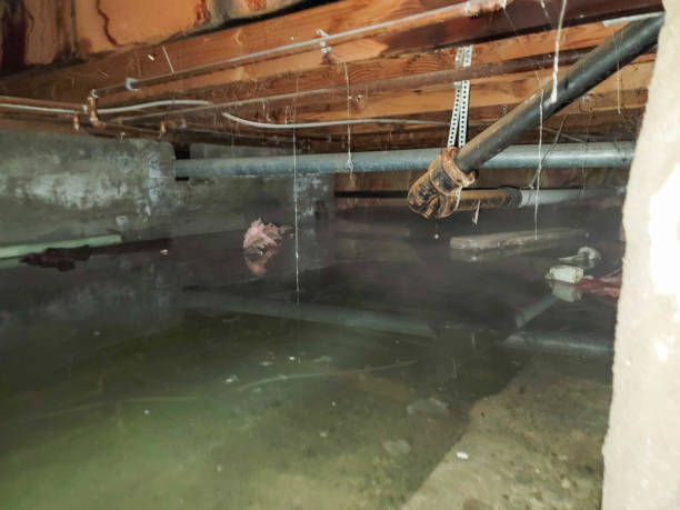 Best Ceiling water damage repair  in Lead, SD