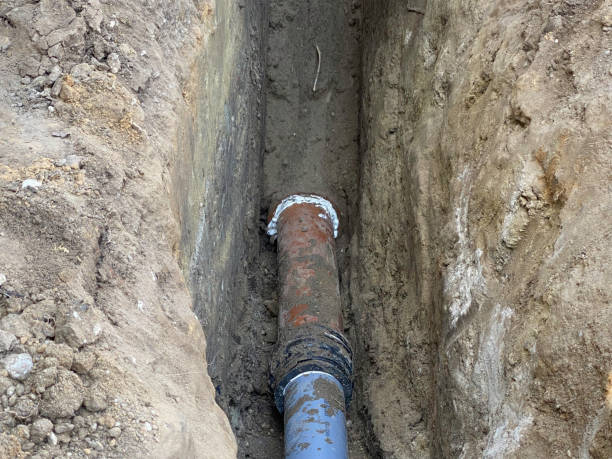 Best Professional water damage repair  in Lead, SD