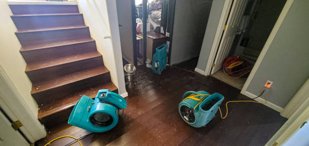 Best Commercial water damage restoration  in Lead, SD