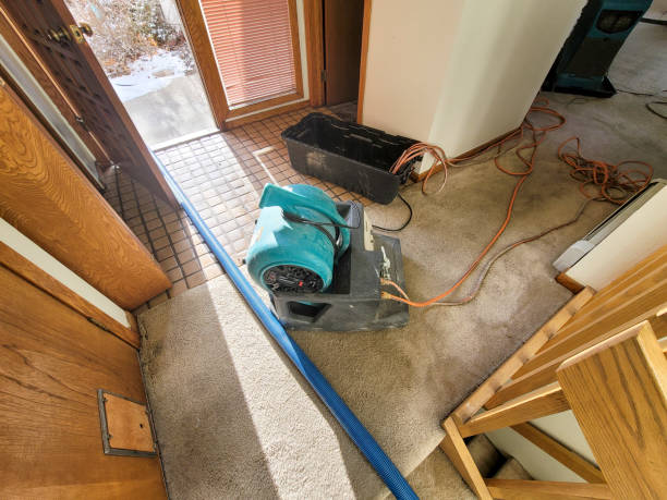 Best Local water damage restoration  in Lead, SD