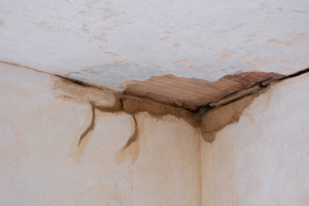 Best Water damage mitigation services  in Lead, SD