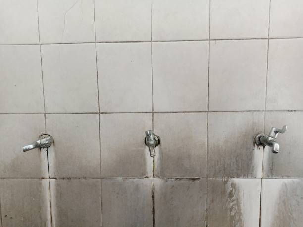 Best Carpet water damage restoration  in Lead, SD