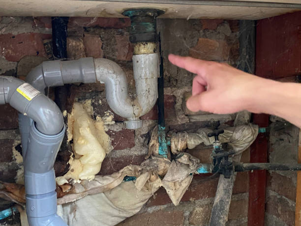 Best Water damage restoration company  in Lead, SD