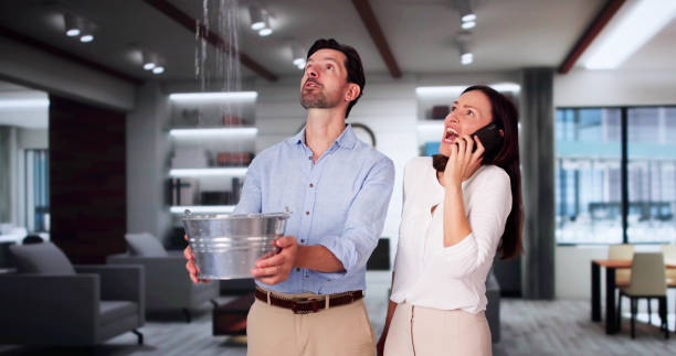 Best Flood damage cleanup  in Lead, SD