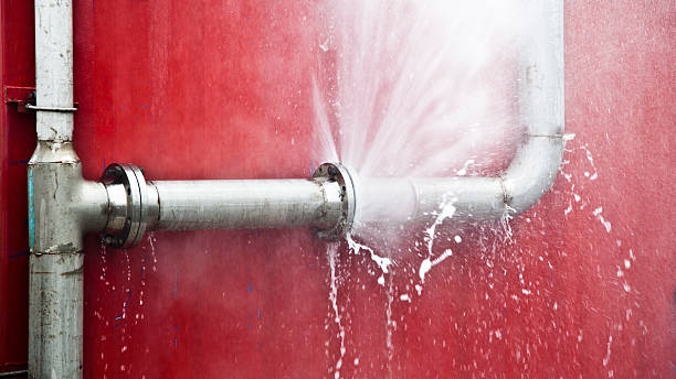 Best Residential water damage restoration  in Lead, SD