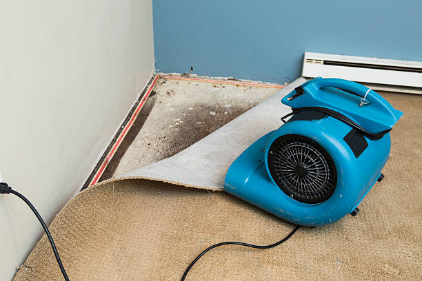 Best 24-hour water damage restoration  in Lead, SD
